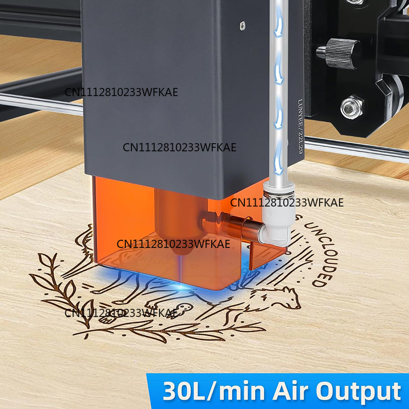 Bomba de asistencia de aire pa - Air Assist Pump Laser reseña y precio